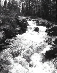 Photo d'une rivière, lorsque tu bois l'eau
