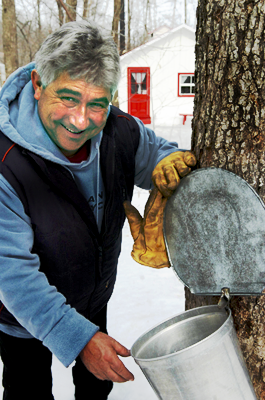 Photo de la ceuillette du sirop d'�rable